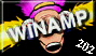 Direkt downdoad Winamp version 204